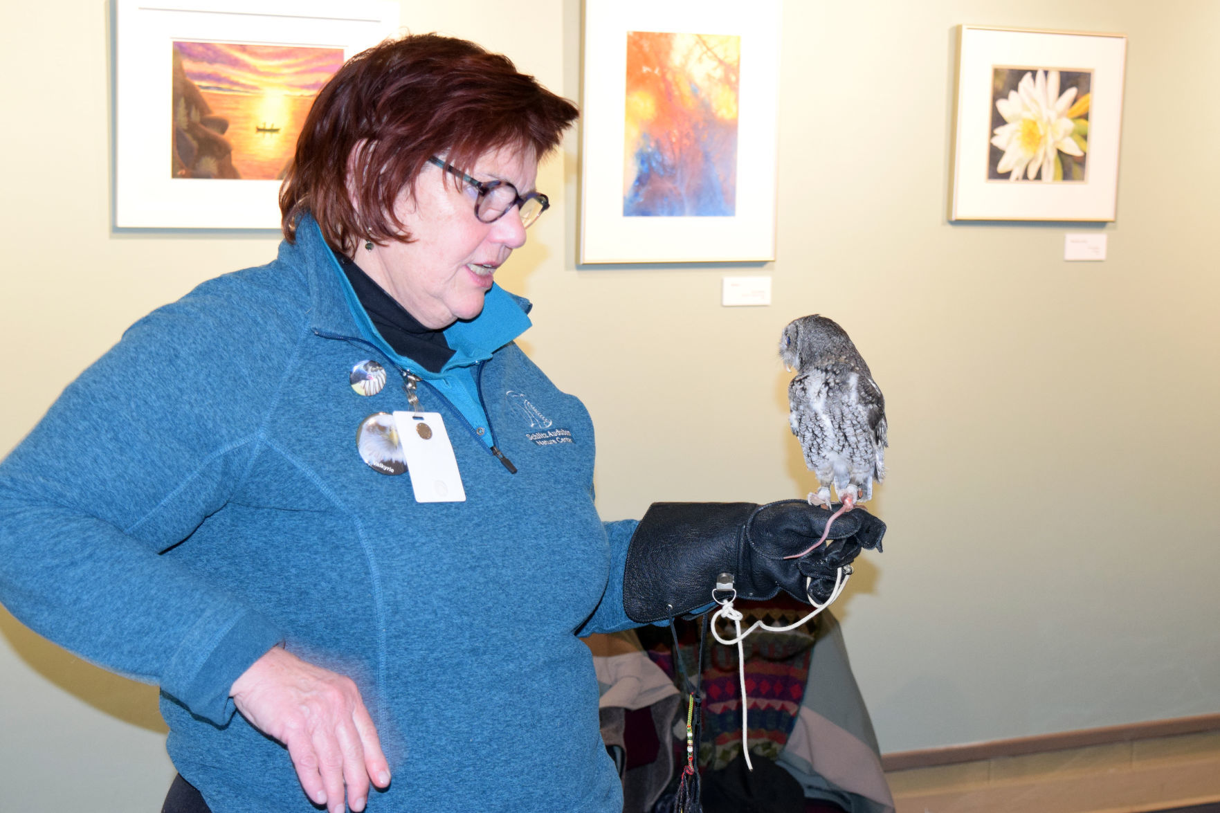 012019-sauk-gallery-eagle005